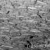 barracuda_blackfin_er_h_0705_png1106_bw.jpg